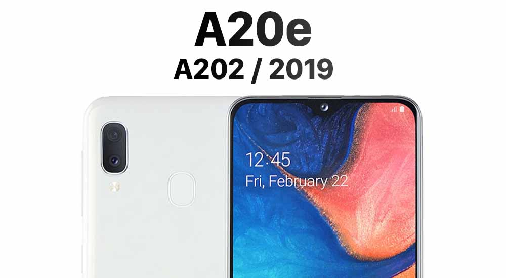A20e (A202 / 2019)