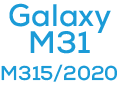 M31 (M315 / 2020)